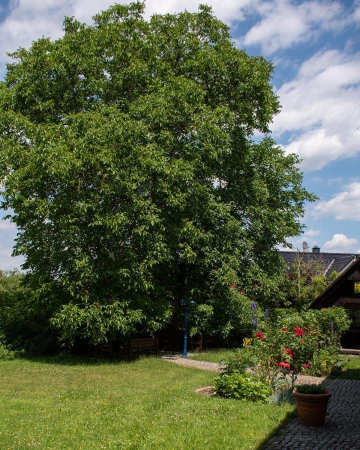 Ferienhaus Ostrauer Hof Bad Schandau Zewnętrze zdjęcie
